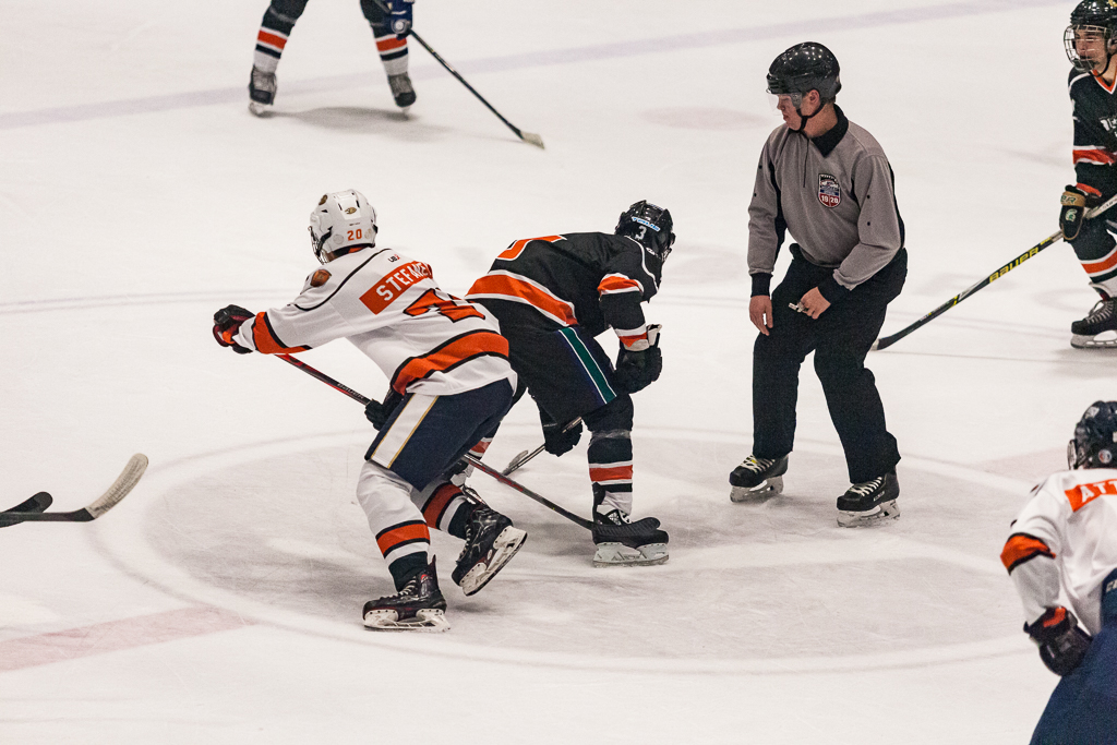 2020 ADHSHL All Star Game