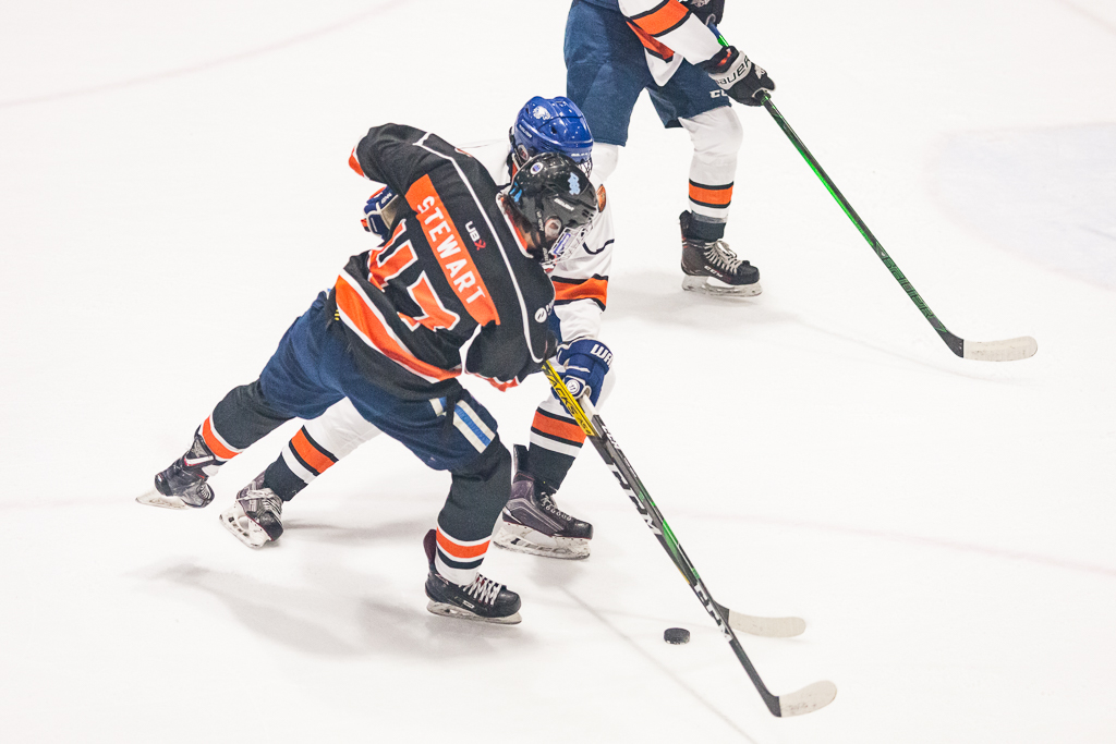 2020 ADHSHL All Star Game