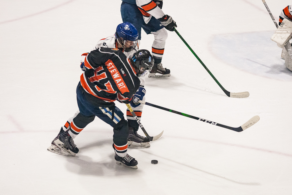 2020 ADHSHL All Star Game