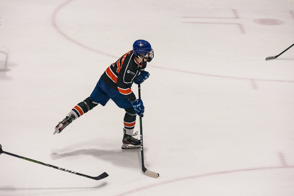 2020 ADHSHL All Star Game