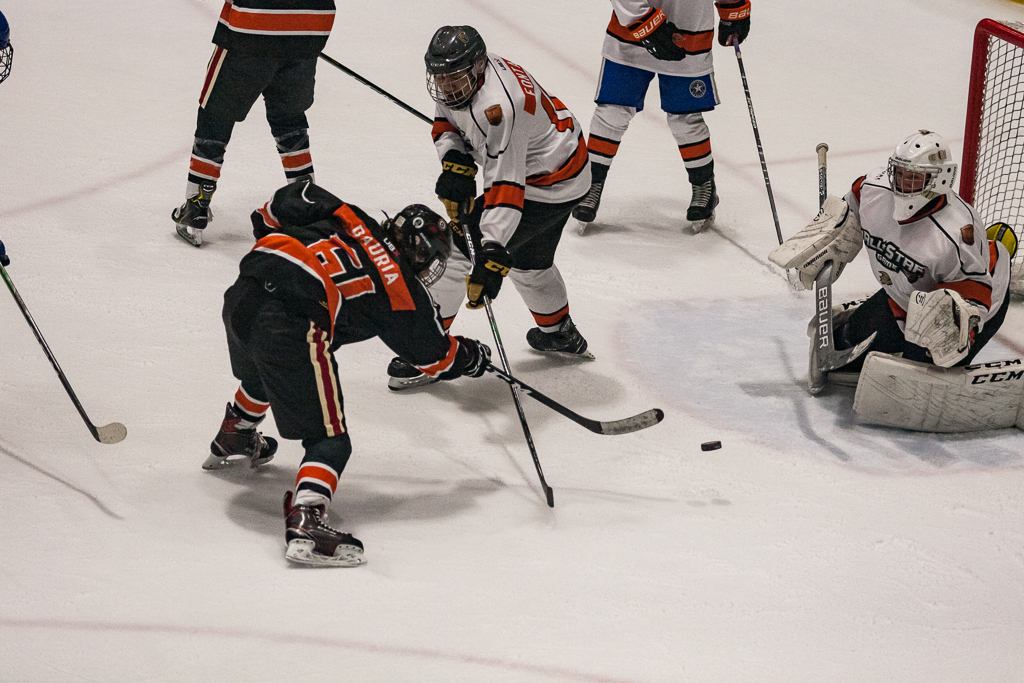 2020 ADHSHL All Star Game