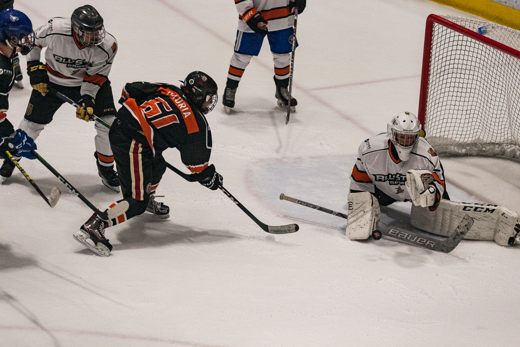 2020 ADHSHL All Star Game