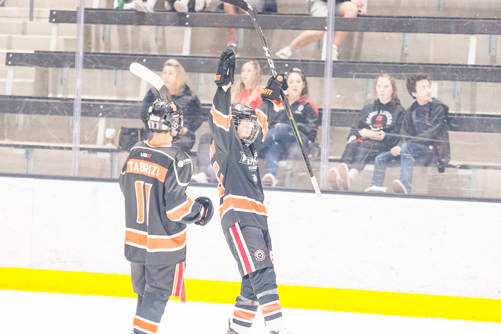 2020 ADHSHL All Star Game