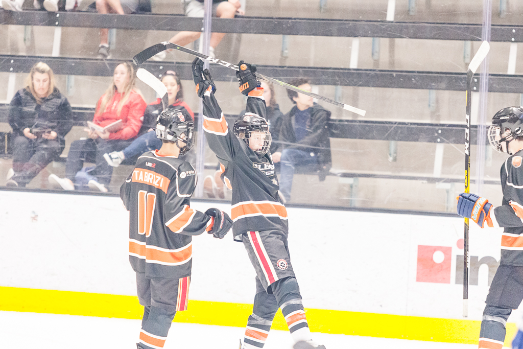 2020 ADHSHL All Star Game