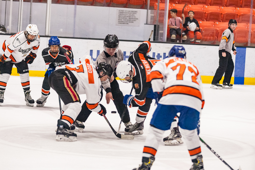 2020 ADHSHL All Star Game