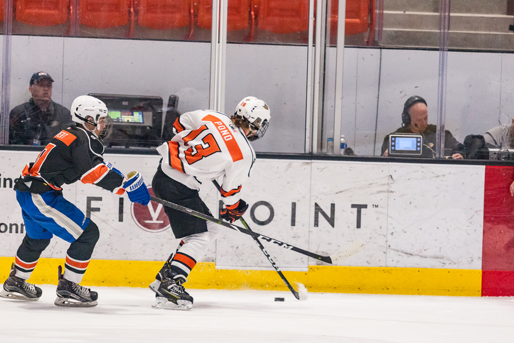 2020 ADHSHL All Star Game