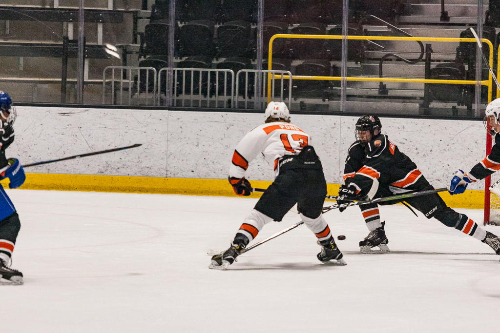 2020 ADHSHL All Star Game