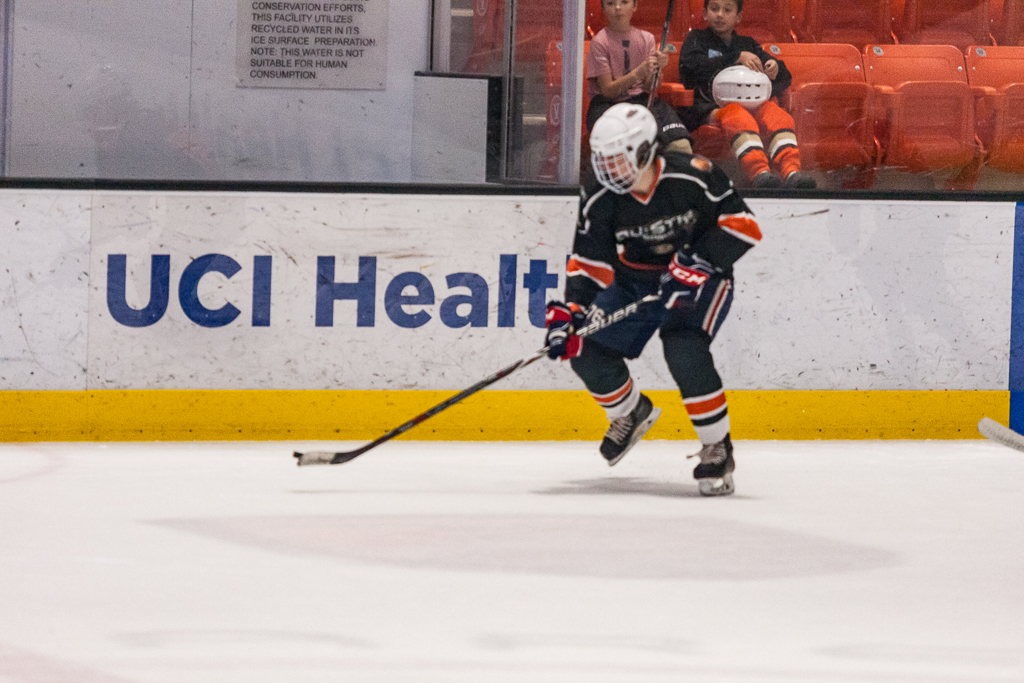 2020 ADHSHL All Star Game