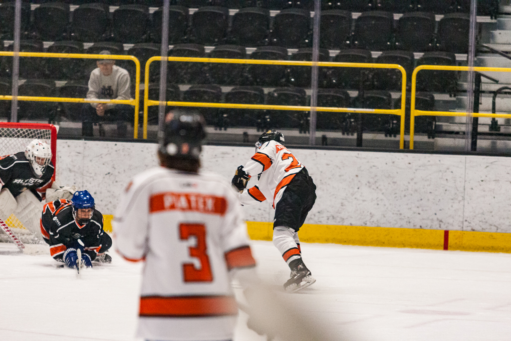 2020 ADHSHL All Star Game