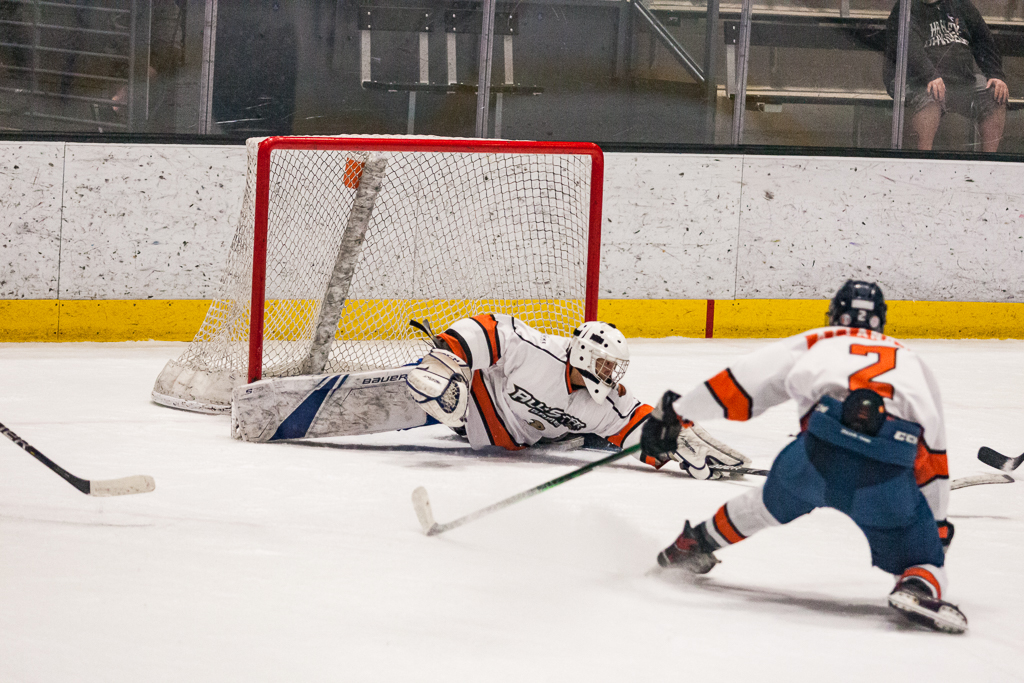 2020 ADHSHL All Star Game