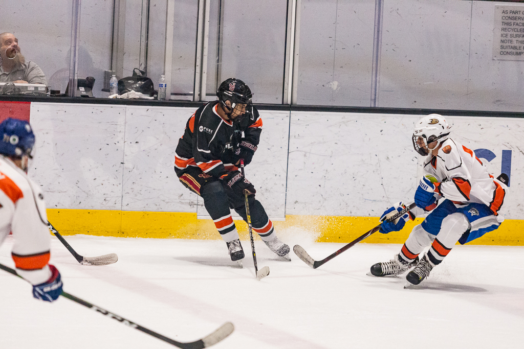 2020 ADHSHL All Star Game