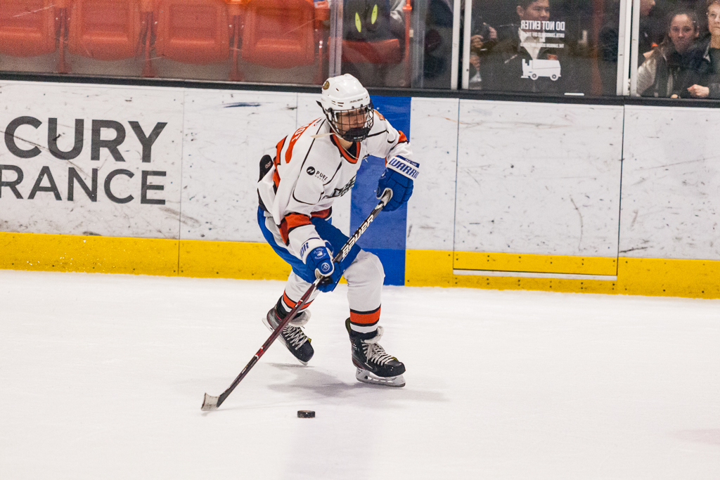 2020 ADHSHL All Star Game