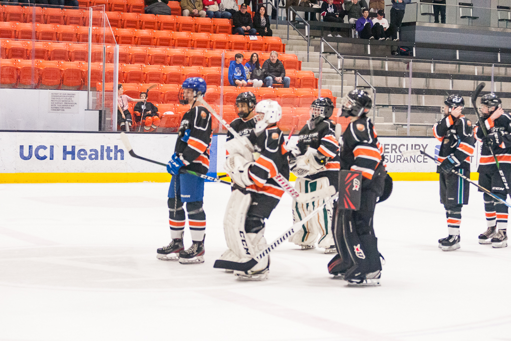 2020 ADHSHL All Star Game