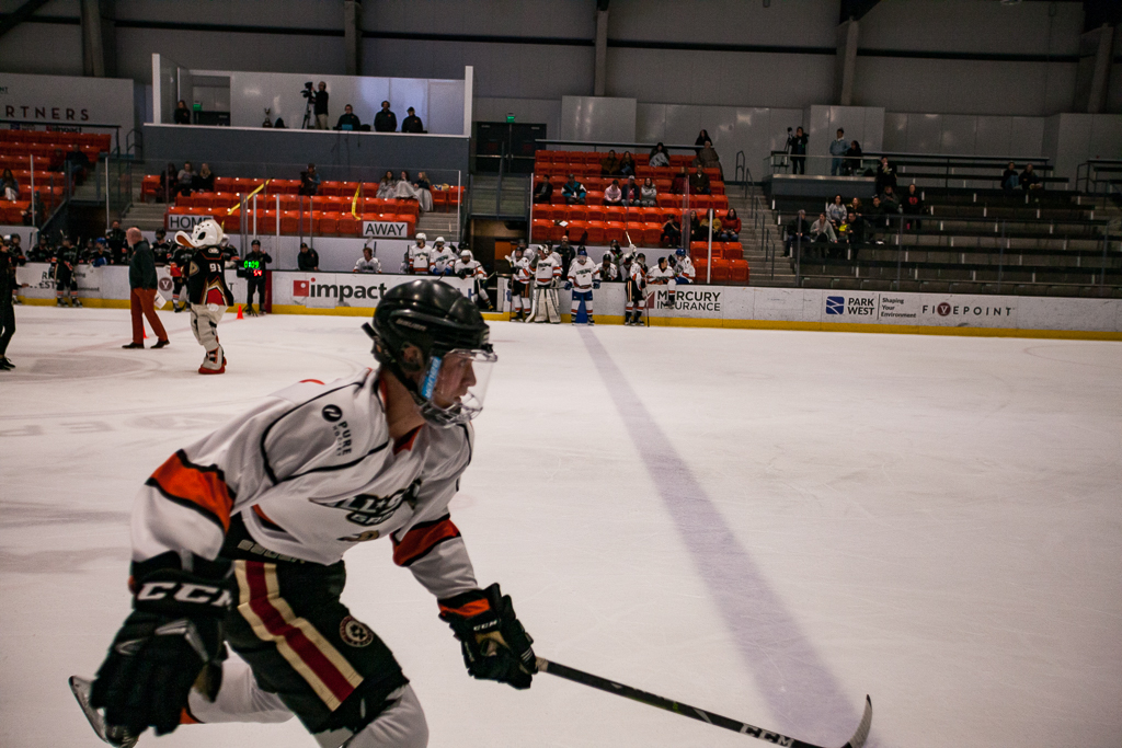 2020 ADHSHL All Star Game