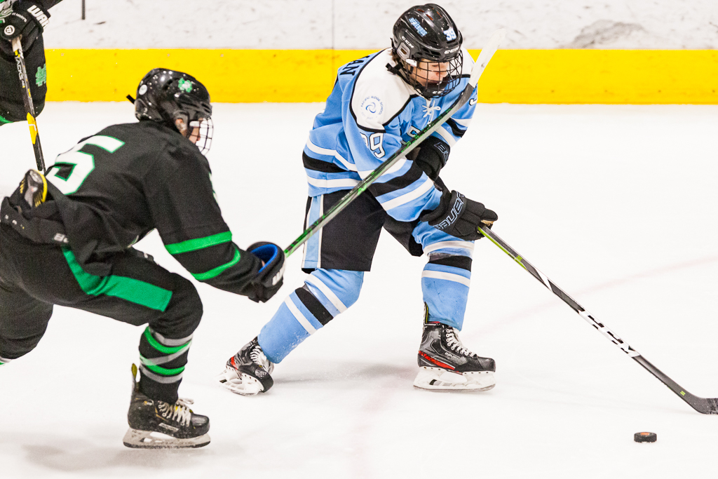 ADHSHL D1 Championship Game