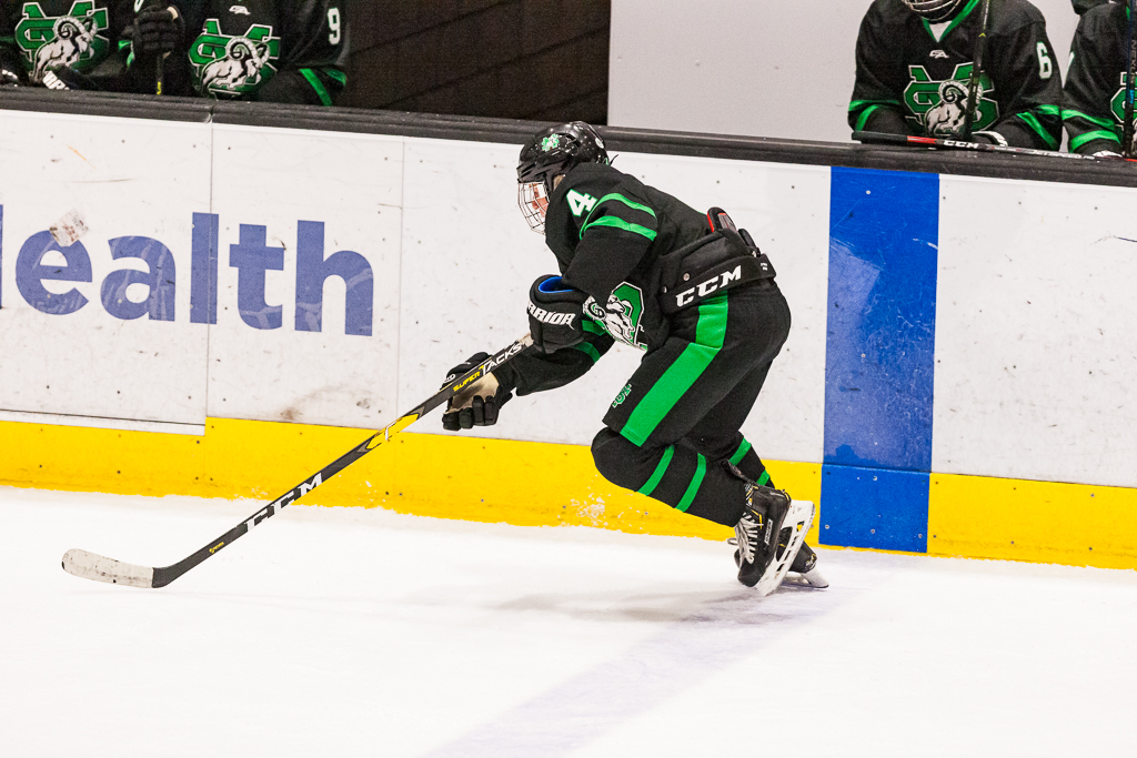 ADHSHL D1 Championship Game