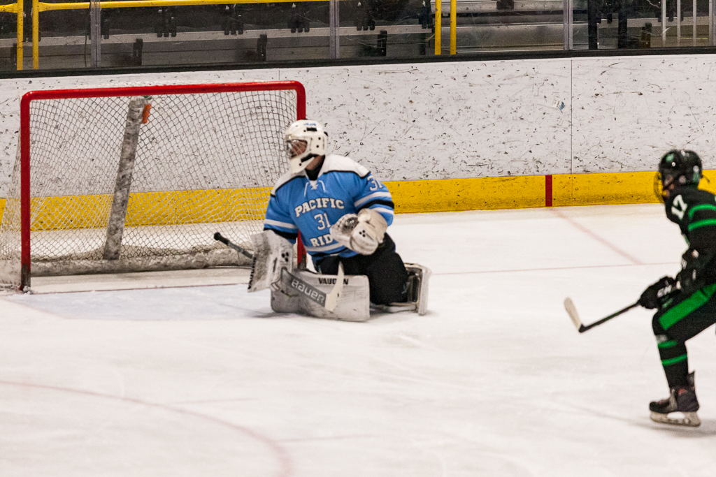 ADHSHL D1 Championship Game