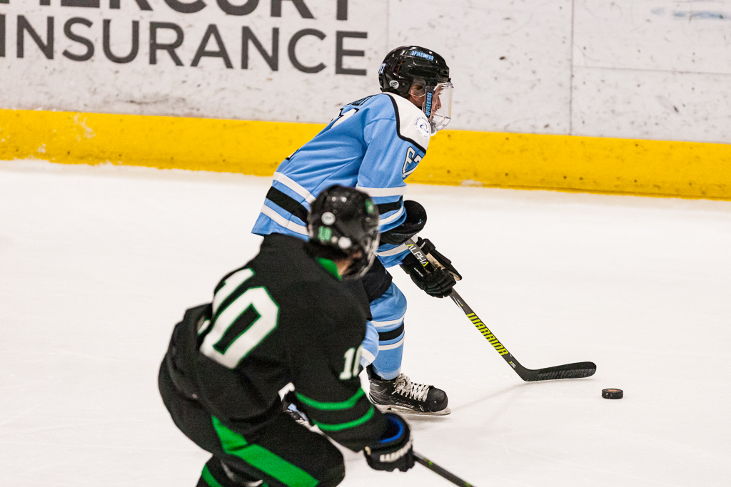 ADHSHL D1 Championship Game