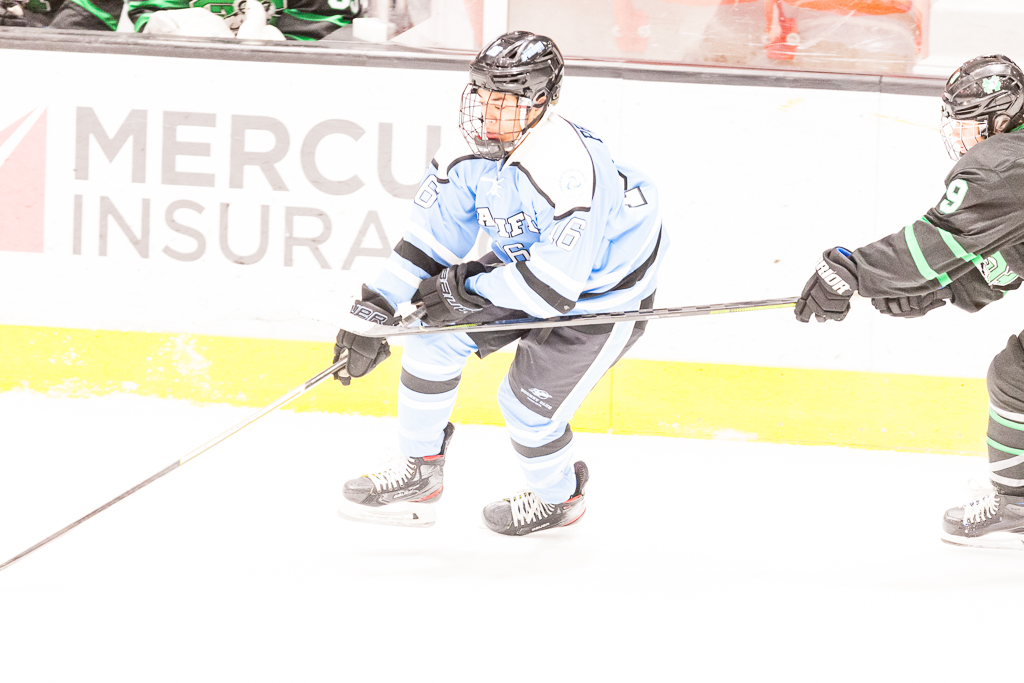 ADHSHL D1 Championship Game