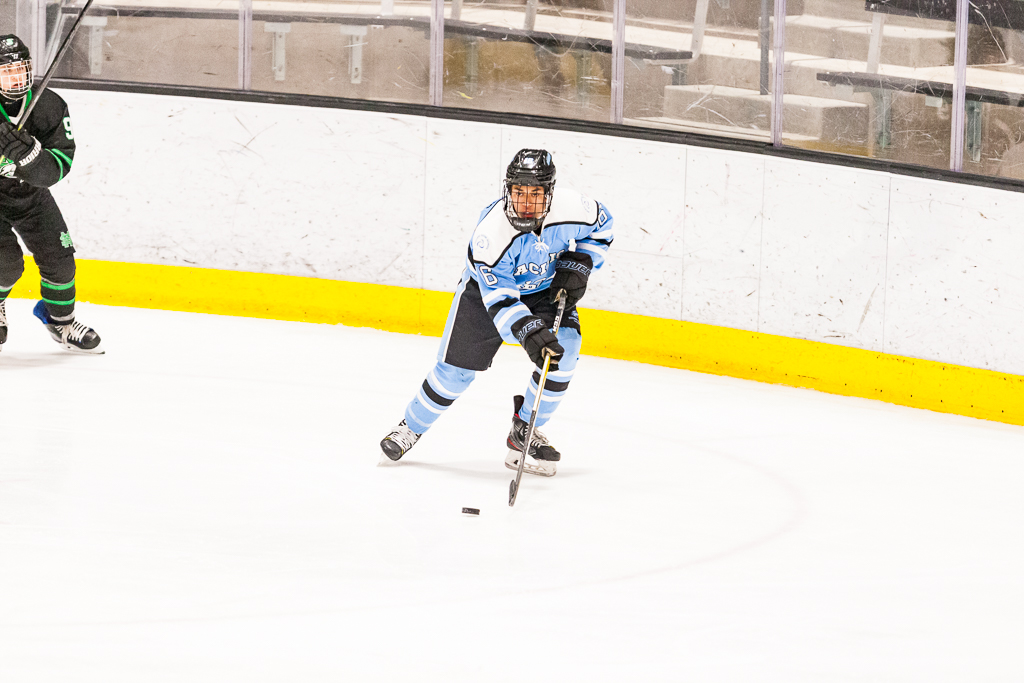 ADHSHL D1 Championship Game