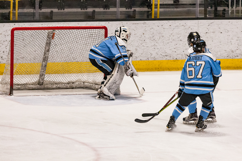 ADHSHL D1 Championship Game