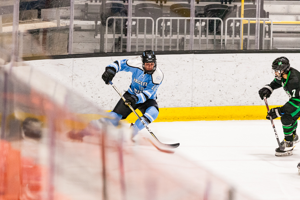 ADHSHL D1 Championship Game