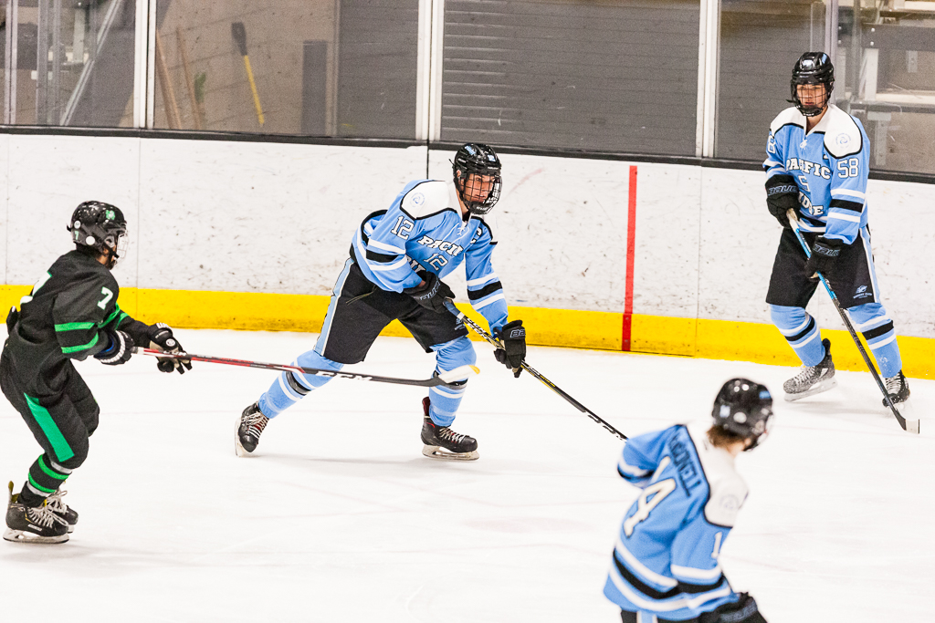 ADHSHL D1 Championship Game