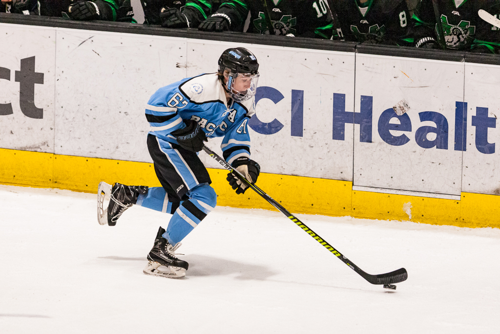 ADHSHL D1 Championship Game