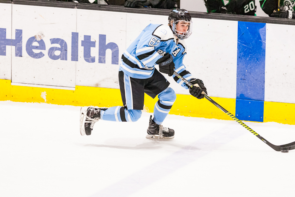 ADHSHL D1 Championship Game
