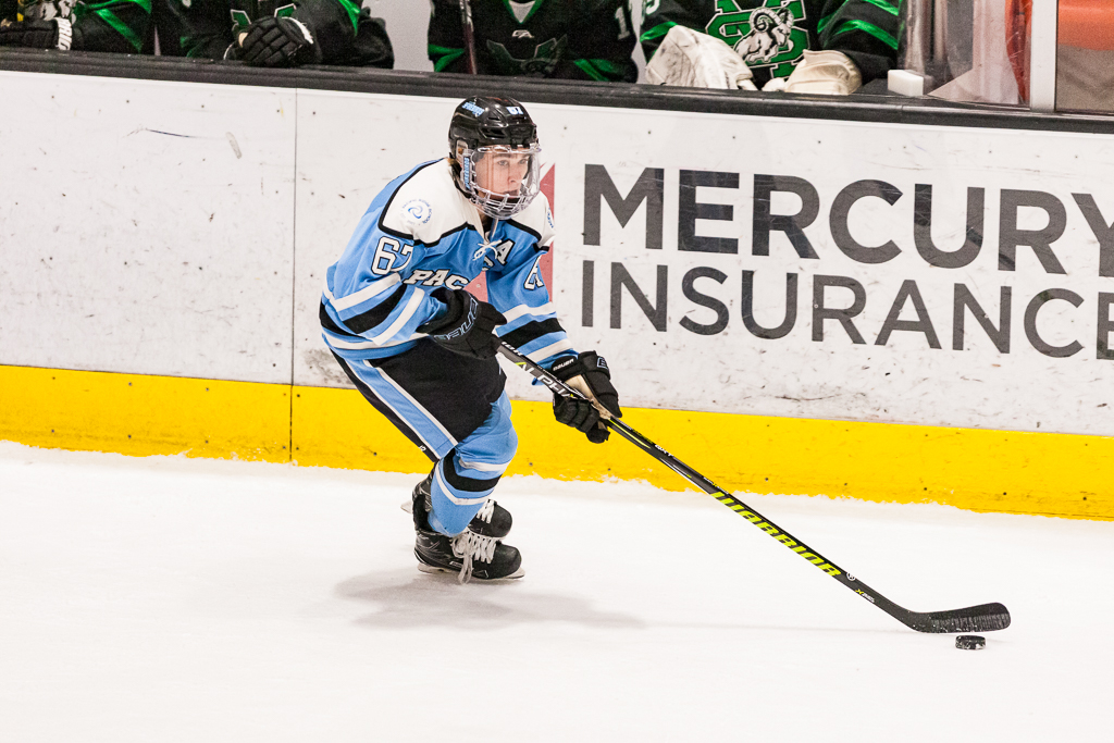 ADHSHL D1 Championship Game