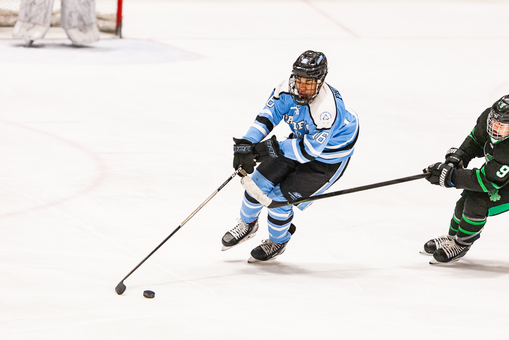 ADHSHL D1 Championship Game