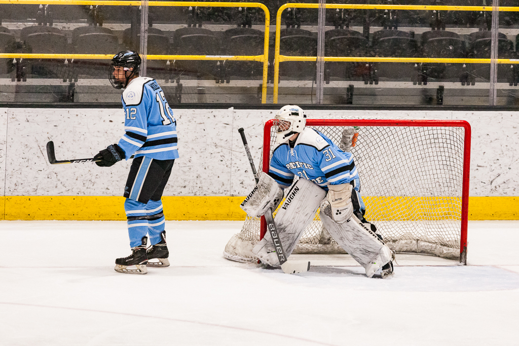 ADHSHL D1 Championship Game