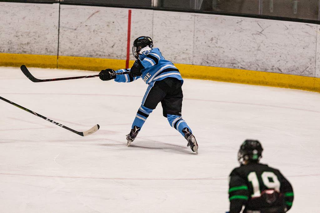 ADHSHL D1 Championship Game