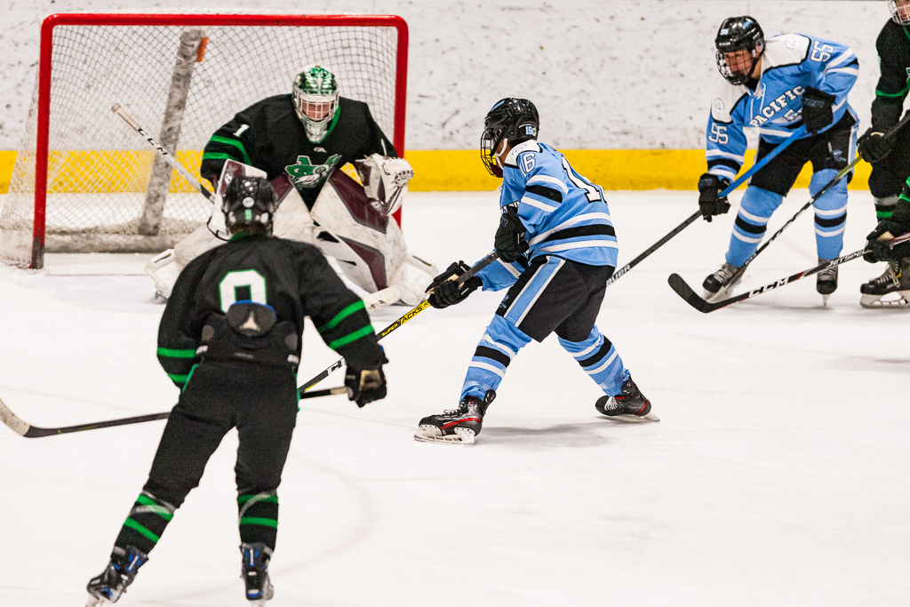 ADHSHL D1 Championship Game