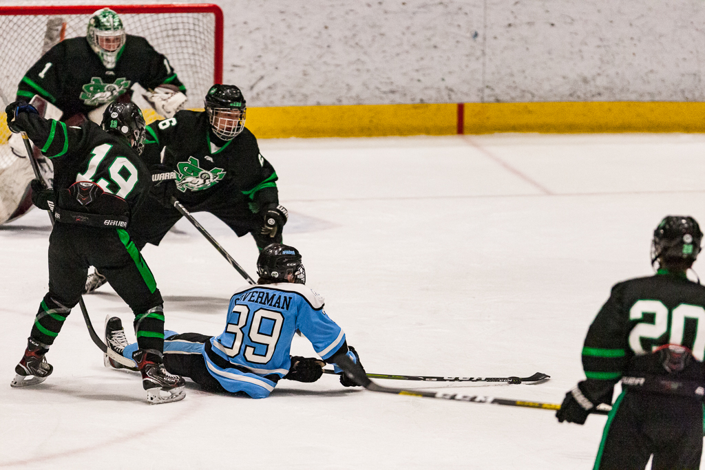 ADHSHL D1 Championship Game