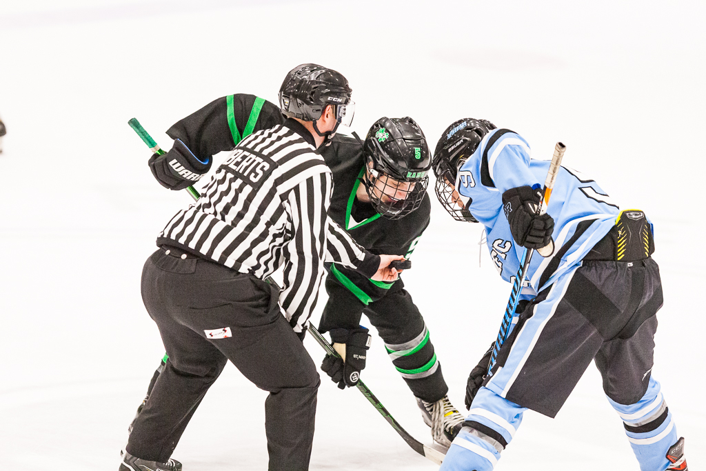 ADHSHL D1 Championship Game