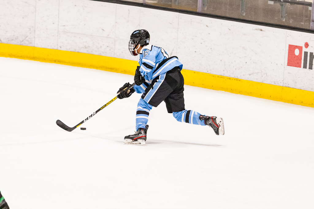 ADHSHL D1 Championship Game