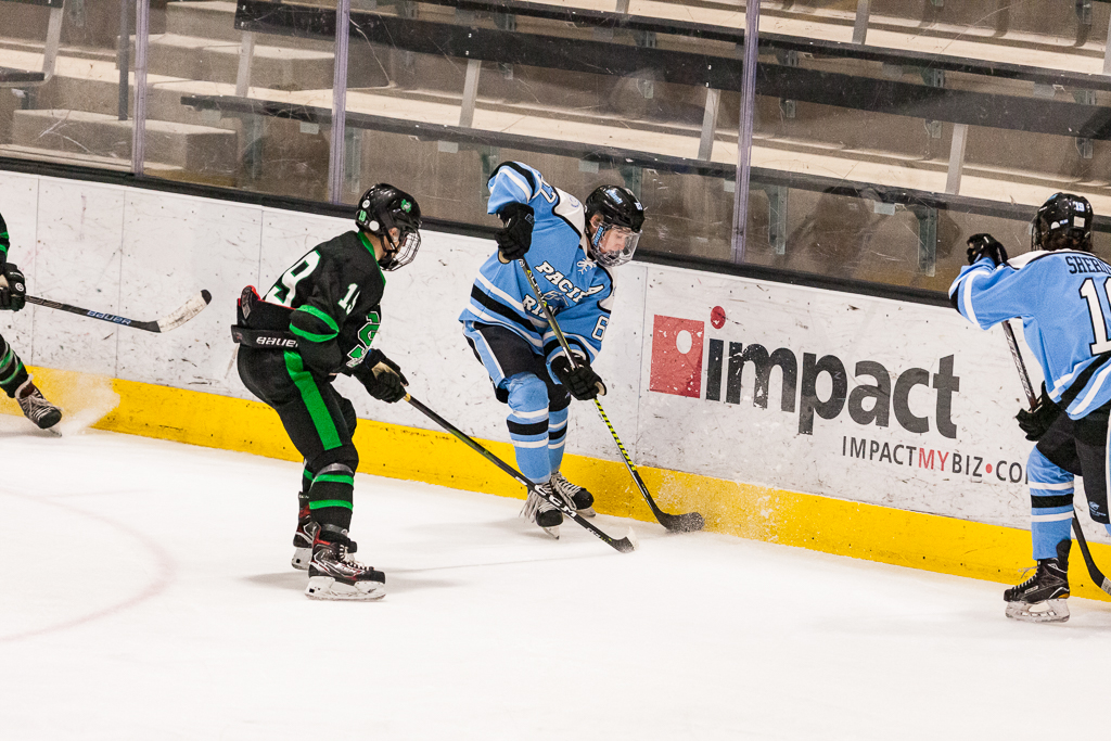 ADHSHL D1 Championship Game