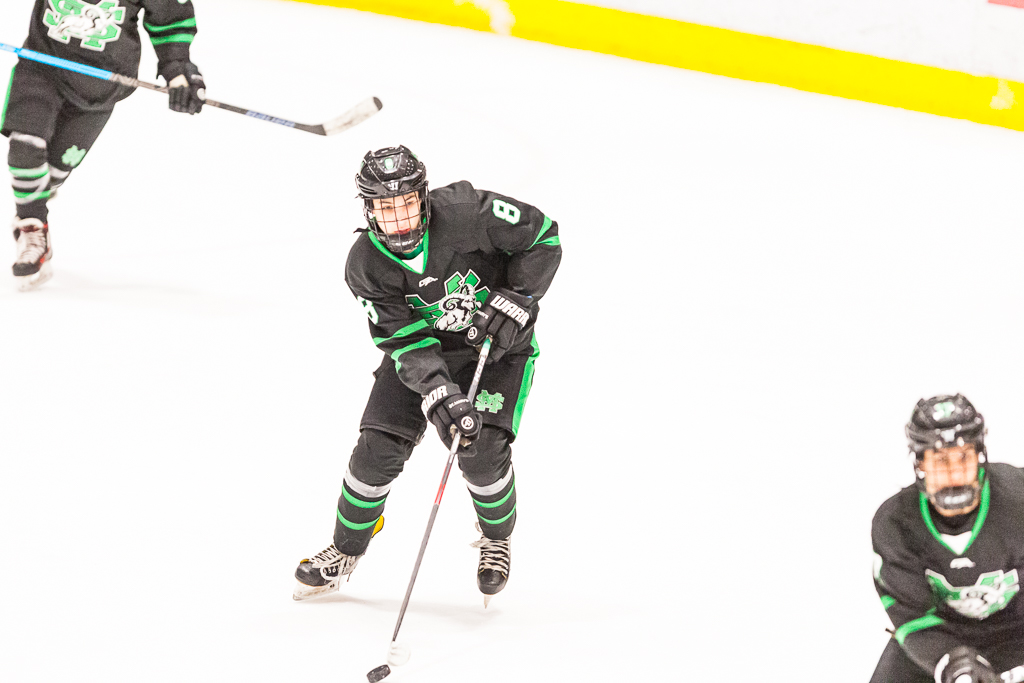 ADHSHL D1 Championship Game