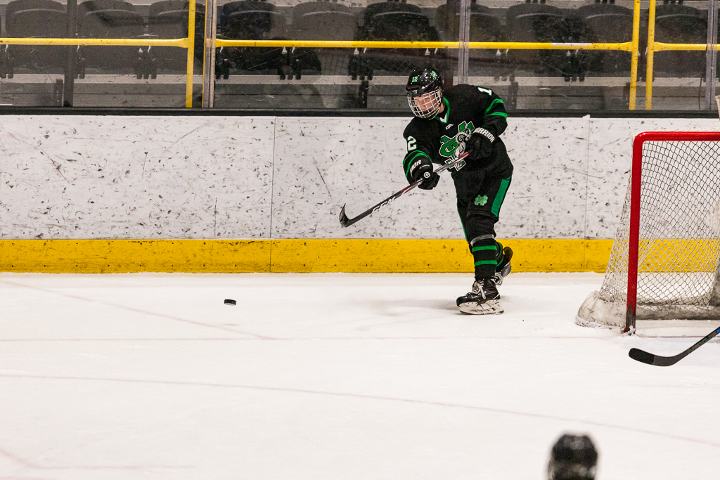 ADHSHL D1 Championship Game