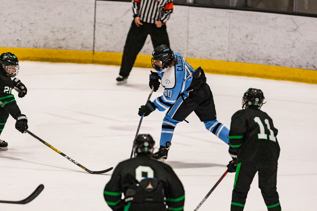 ADHSHL D1 Championship Game