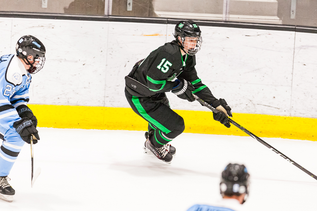 ADHSHL D1 Championship Game