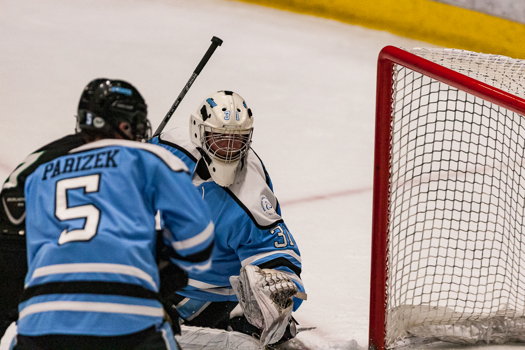 ADHSHL D1 Championship Game