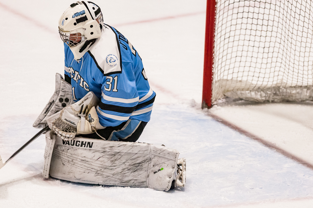 ADHSHL D1 Championship Game