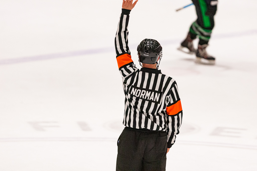 ADHSHL D1 Championship Game