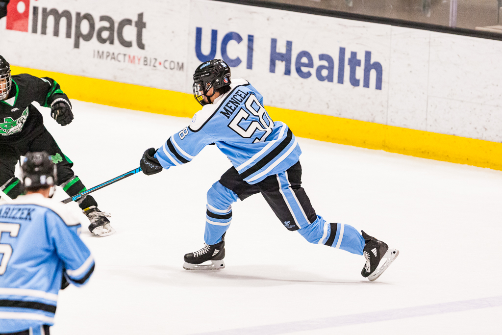 ADHSHL D1 Championship Game