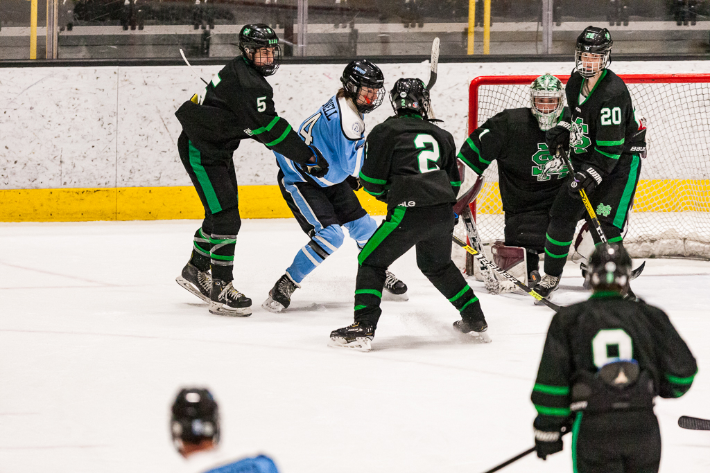 ADHSHL D1 Championship Game