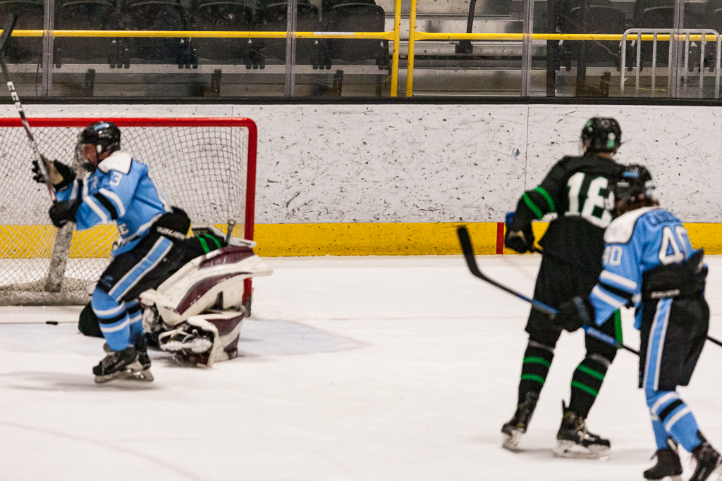ADHSHL D1 Championship Game