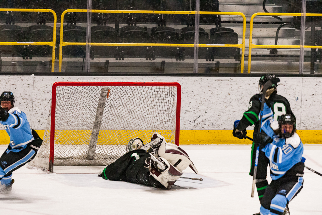 ADHSHL D1 Championship Game