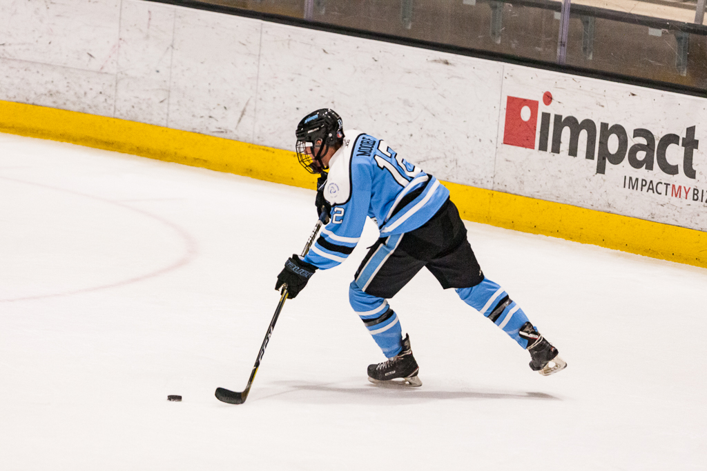 ADHSHL D1 Championship Game